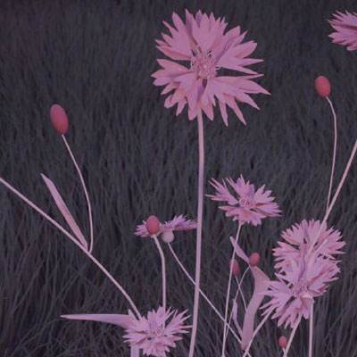 bat365官网登录入口下载手机版